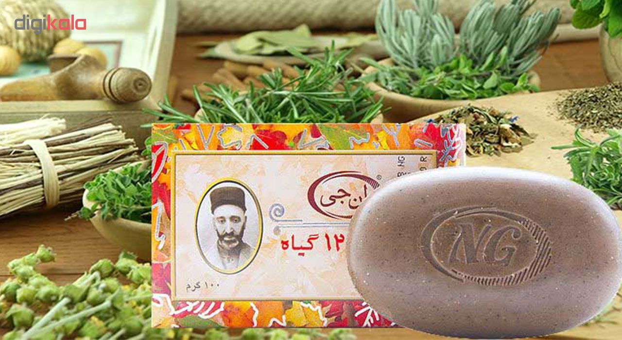 صابون 12 گیاه موی سر ان جی اورجینال مدل NG Herb وزن 100 گرم -  - 12