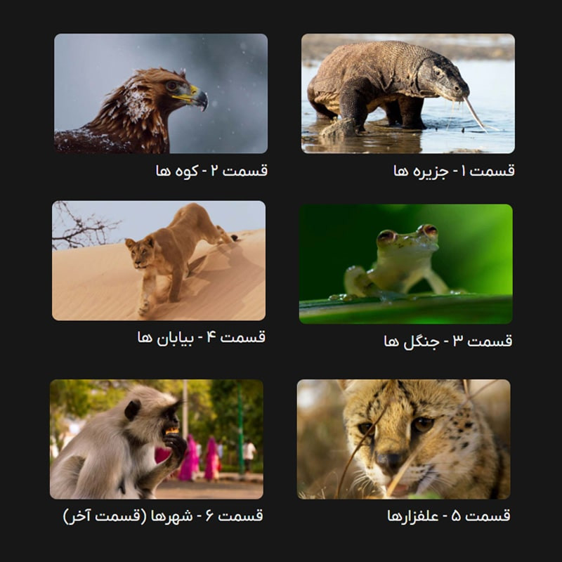 مستند سیاره زمین دو Planet Earth II 2016 اثر دیوید اتنبرو نشر لیمو استور