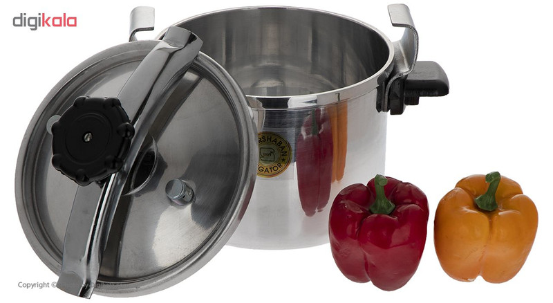 زودپز پورشبان مدل H67 گنجایش 6 لیتر