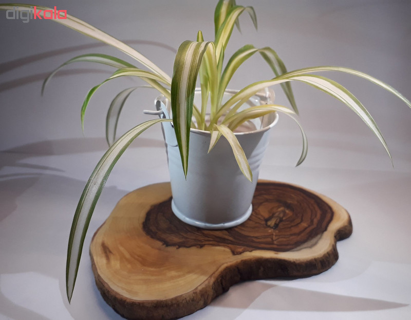 گلدان مدل نیلا - 5.5 سانتی با دسته فلزی