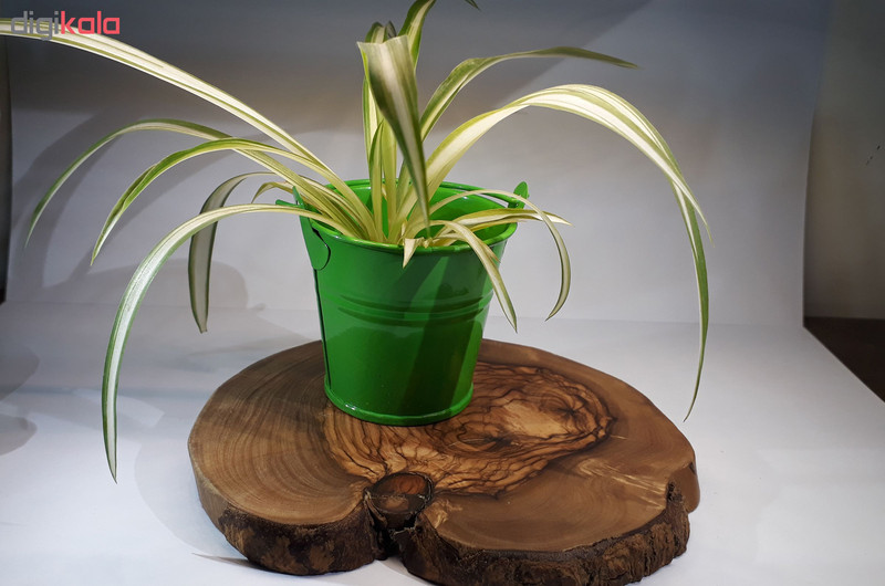 گلدان مدل نیلا - 5.5 سانتی با دسته فلزی