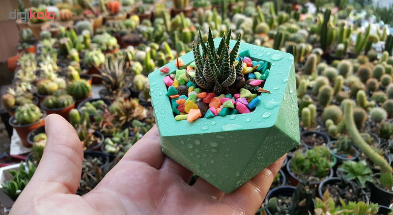 گلدان زویا گالری مدل Fluorescent Penta گلدان زویا گالری مدل Fluorescent Penta