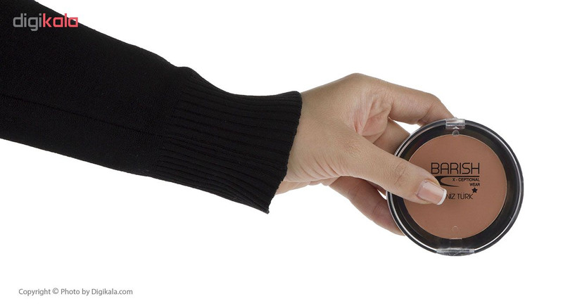 رژگونه باریش مدل Helty skin شماره 501