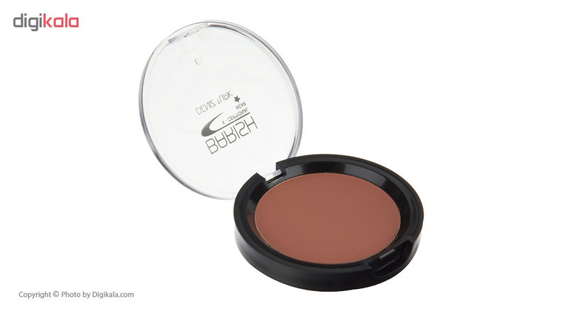 رژگونه باریش مدل Helty skin شماره 504