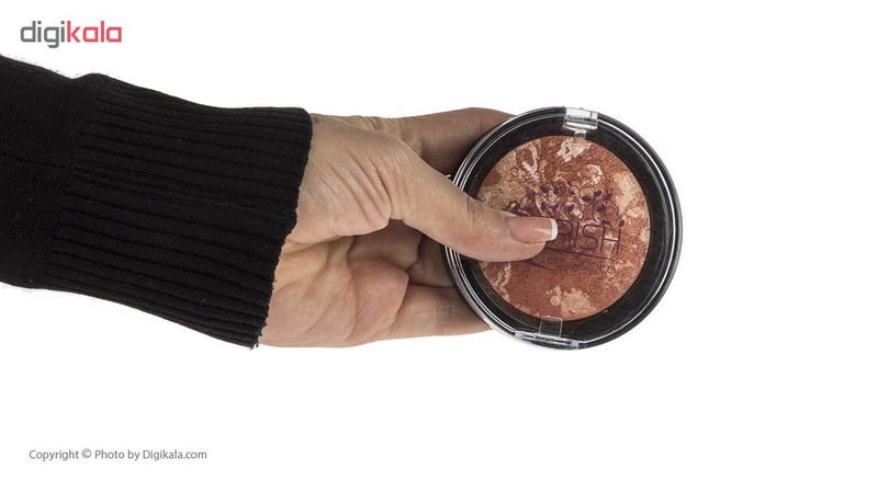 رژگونه تراکوتا باریش مدل Silky touch شماره 201