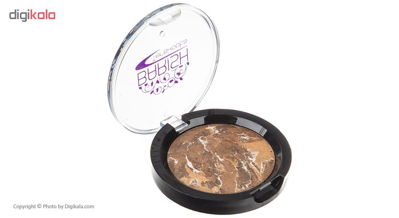 رژگونه تراکوتا باریش مدل Silkytouch شماره 202