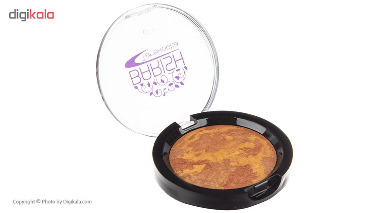 رژگونه تراکوتا باریش مدل Silky touch شماره 203