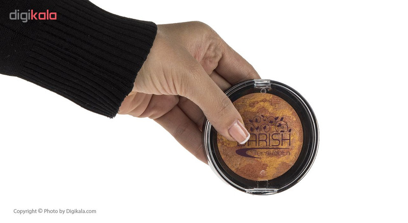 رژگونه تراکوتا باریش مدل Silky touch شماره 203