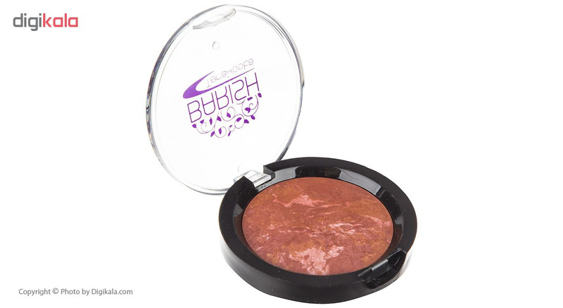 رژگونه تراکوتا باریش مدل Silky touch شماره 206