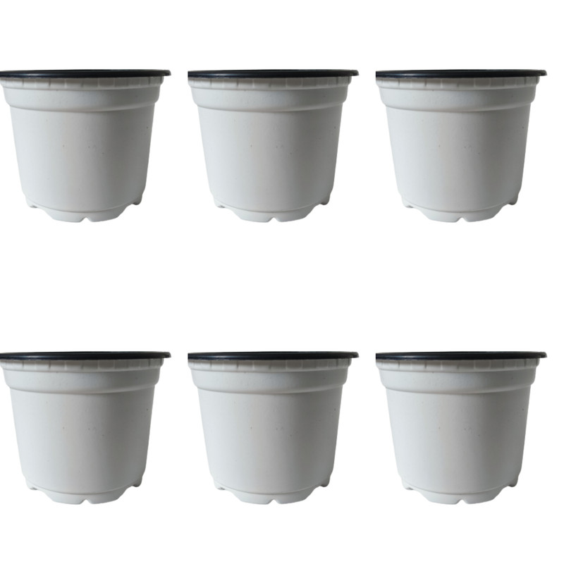 گلدان مدل ژله ای کد A_8 مجموعه 24 عددی