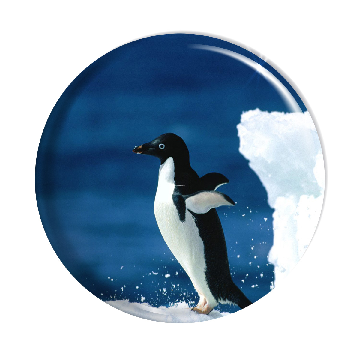 پیکسل  اسانا طرح پنگوئن  دریا حیوان  کد ASA018