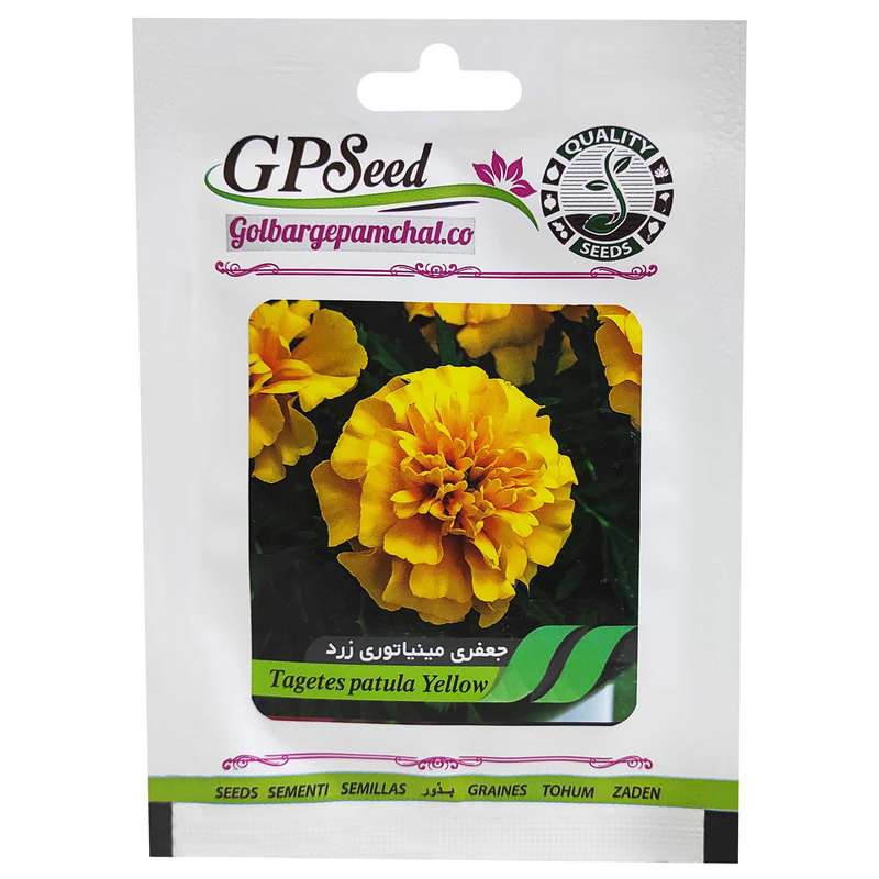 بذر گل جعفری مینیاتوری زرد گلبرگ پامچال کد GPF-041