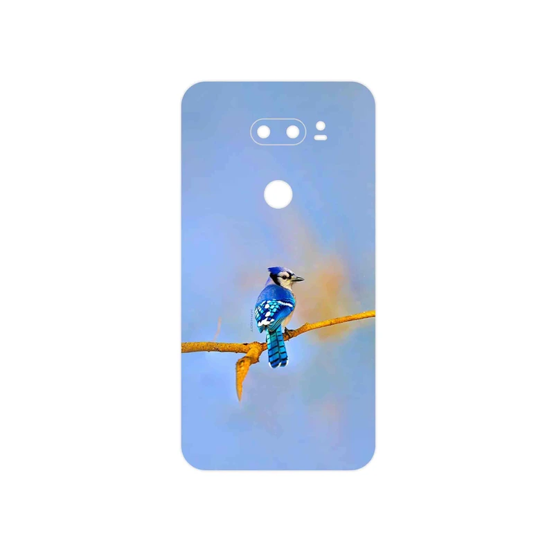 برچسب پوششی ماهوت مدل Cyanocitta cristata مناسب برای گوشی موبایل ال جی V30