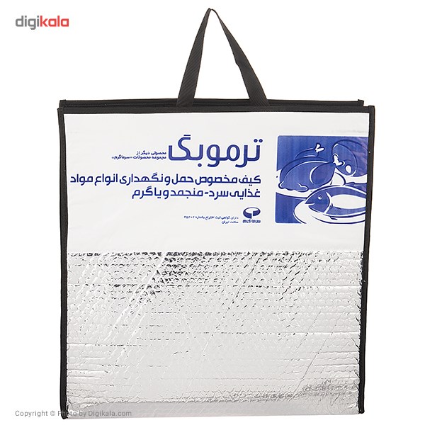 کیف عایق دار سرماگرم مدل Termobag سایز کوچک