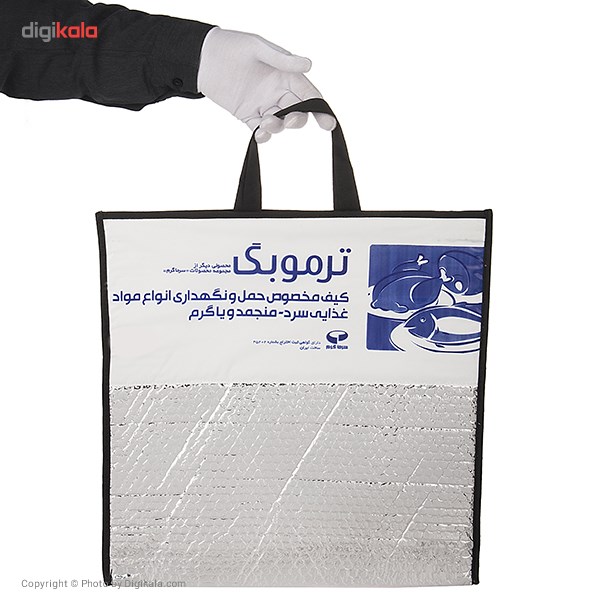 کیف عایق دار سرماگرم مدل Termobag سایز کوچک