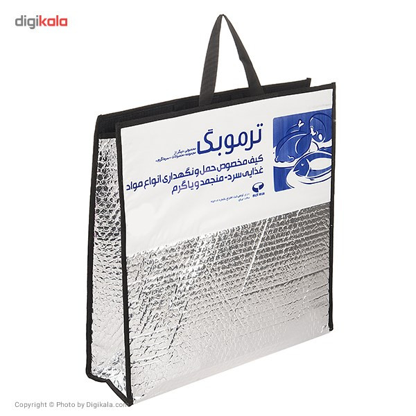 کیف عایق دار سرماگرم مدل Termobag سایز کوچک
