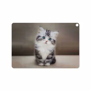 MAHOOT Cat-2 Cover Sticker for ASUS Zenpad 3S 10 2017 Z500KL
