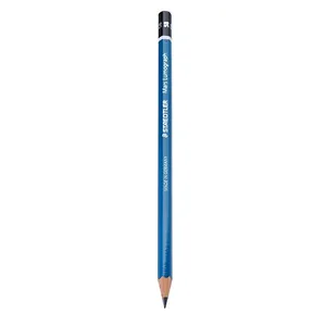 Staedtler Mars Lumograph 100 5B Pencil