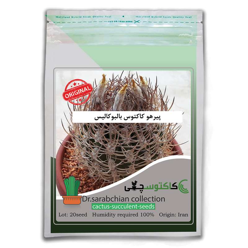 پیرهو کاکتوس بالبوکالیس میکس کاکتوسچی مدل AM-028