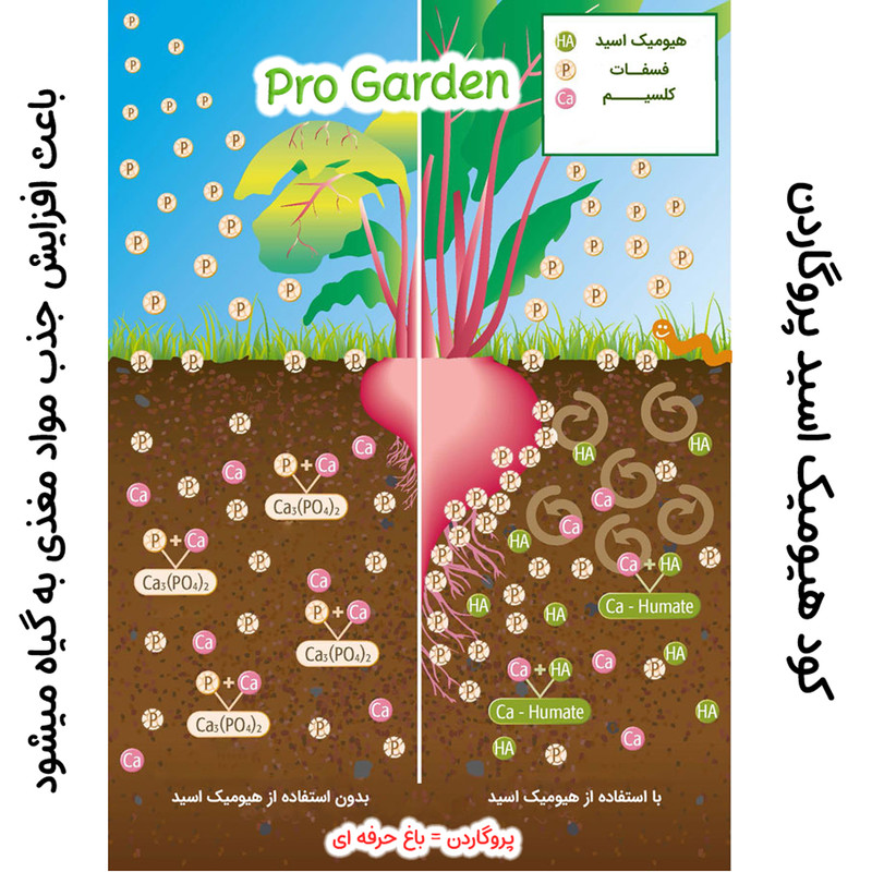 کود هیومیک اسید پروگاردن مدل Organic وزن 200 گرم