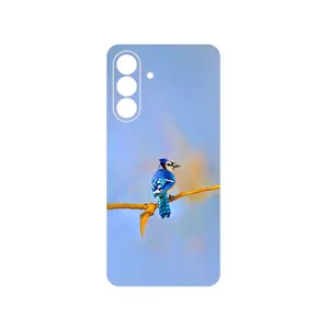 MAHOOT Cyanocitta cristata Cover Sticker for Samsung Galaxy A56
