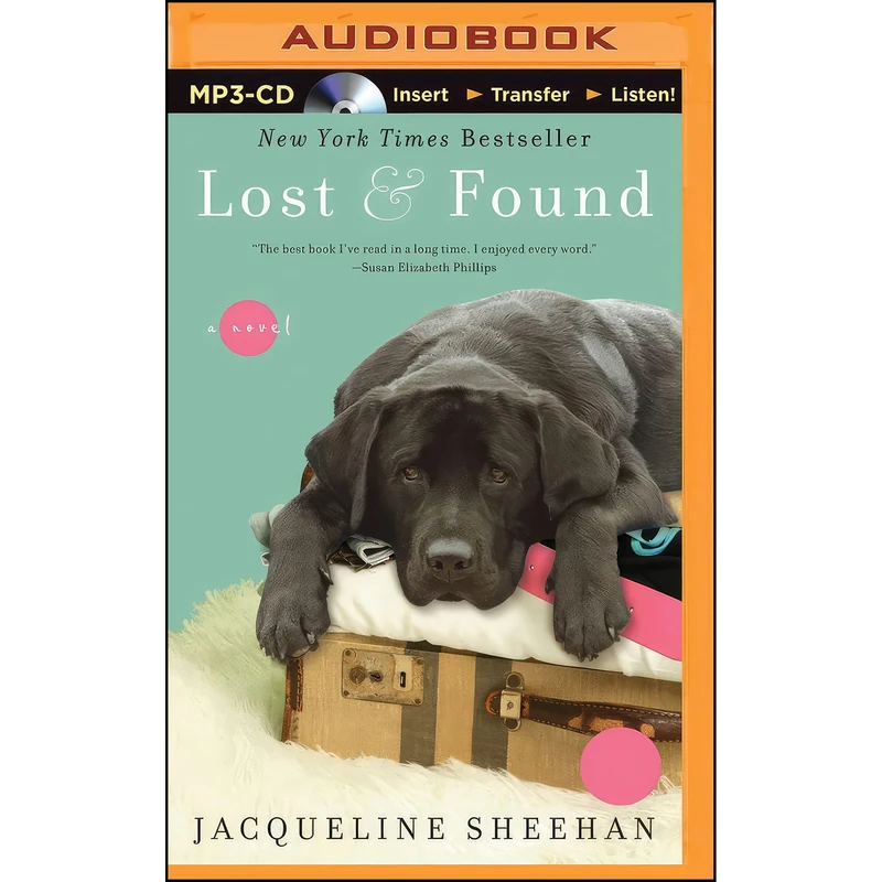 کتاب Lost & Found اثر Jacqueline Sheehan and Sandra Burr انتشارات Brilliance Audio