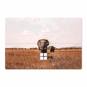 MAHOOT Elephant Cover Sticker for Microsoft Surface Pro 4 2015