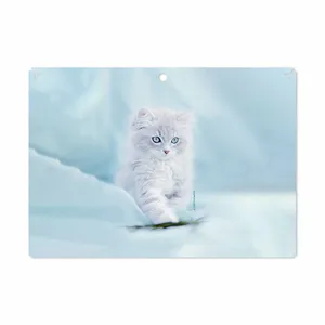 MAHOOT Cat-1 Cover Sticker for Lenovo Miix 320 2017