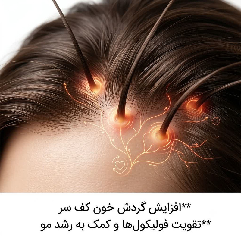 ماساژور دستی سر مدل R-77 با 12 شاخه فلزی