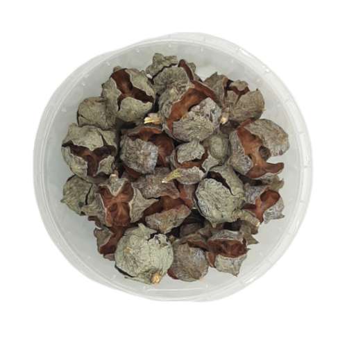 گل خشک مدل میوه کاج وزن 45 گرم