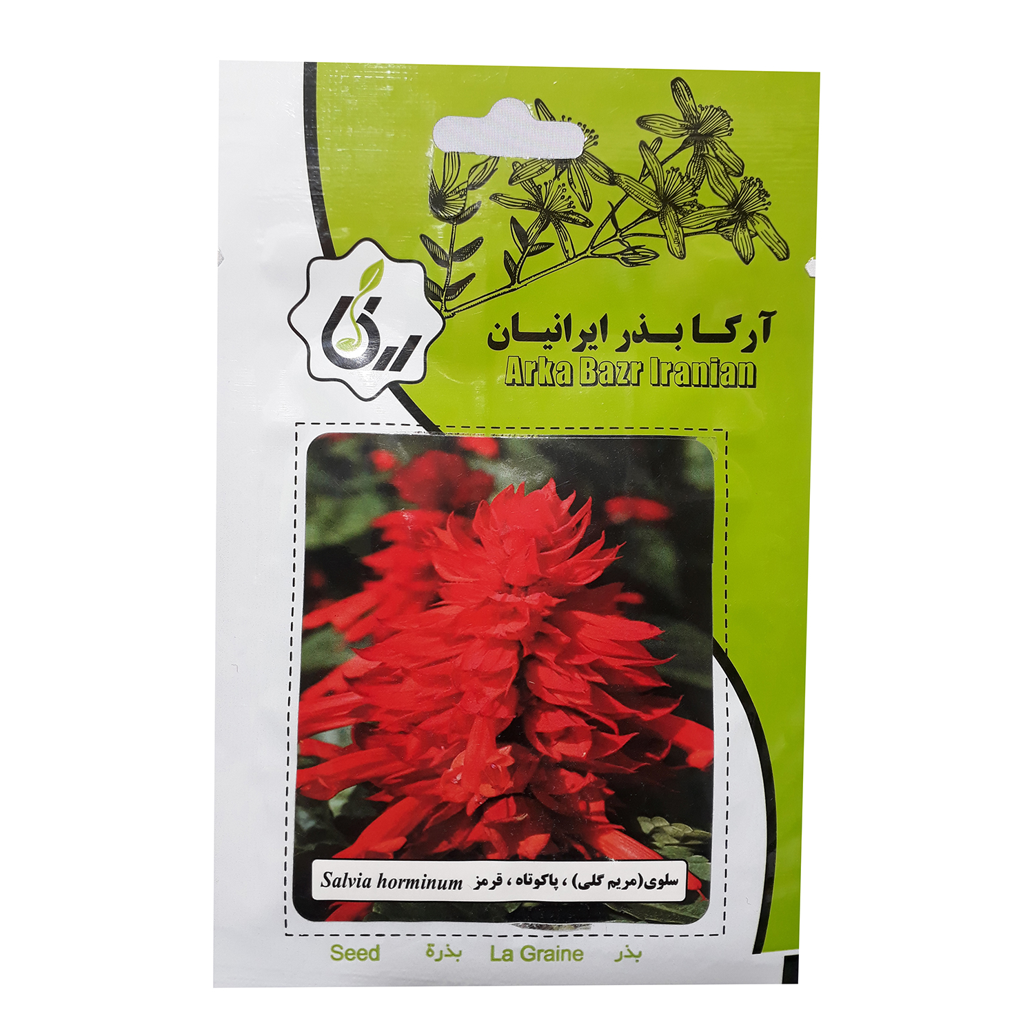 بذر گل سلوی مریم گلی پاکوتاه قرمز آرکا بذر ایرانیان کد A57