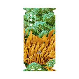 MAHOOT Atom Universe 6-FullSkin Cover Sticker for Samsung Galaxy S20 FE