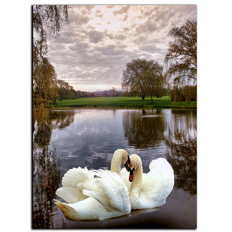 تابلو شاسی بکلیت طرح عاشقانه قو مدل SH-S529