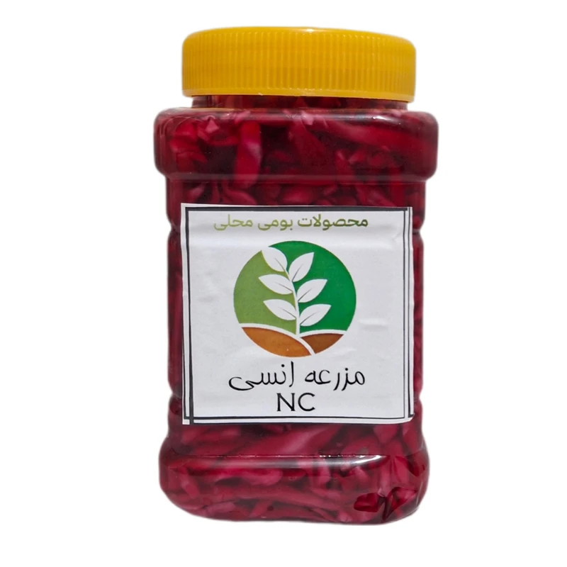 ترشی کلم بنفش ممتاز انسی - 750 گرم