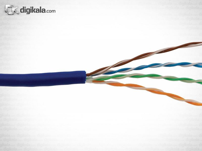 دی لینک کابل شبکه با روکش پی وی سی CAT5 بدون شیلد NCB-5EUBLUR-305