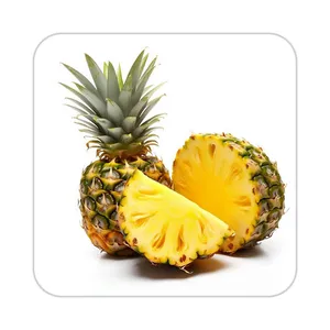 زیر لیوانی کاکتی طرح میوه مدل mp21813