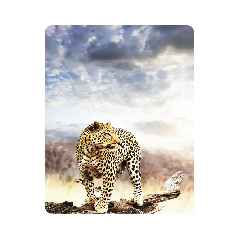 ماوس پد اطلس آبی طرح آسمان و یوز پلنگ  مدل T2033