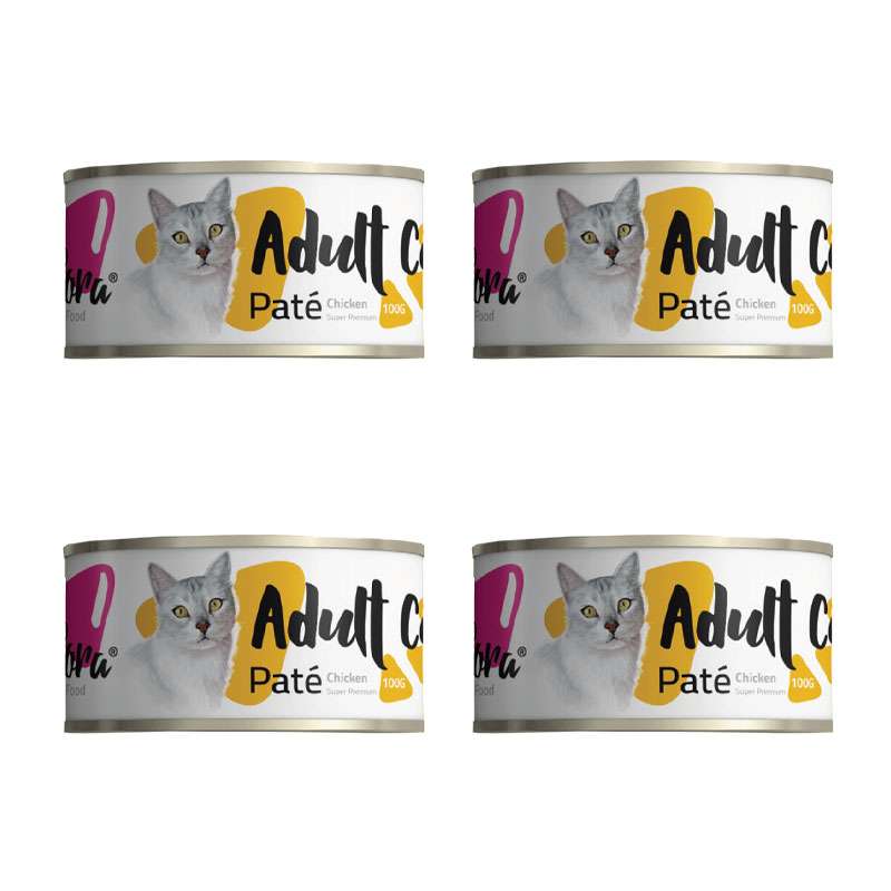 کنسرو غذای گربه فیفورا مدل Chicken وزن 100 گرم بسته 4 عددی