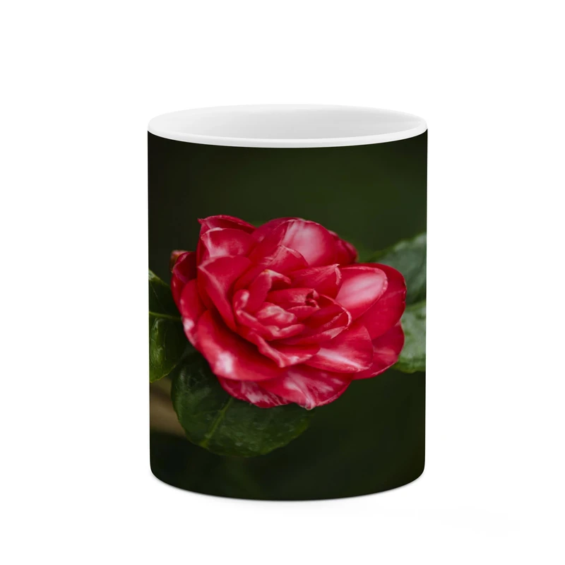 ماگ کاکتی مدل گل کد mgh17453