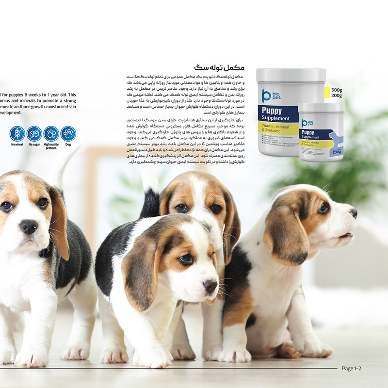 پودر مکمل توله سگ بایو پت مدل Puppy وزن 400 گرم