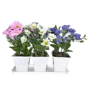 گلدان به همراه گل مصنوعی مدل بابونه کد 78 مجموعه 3 عددی