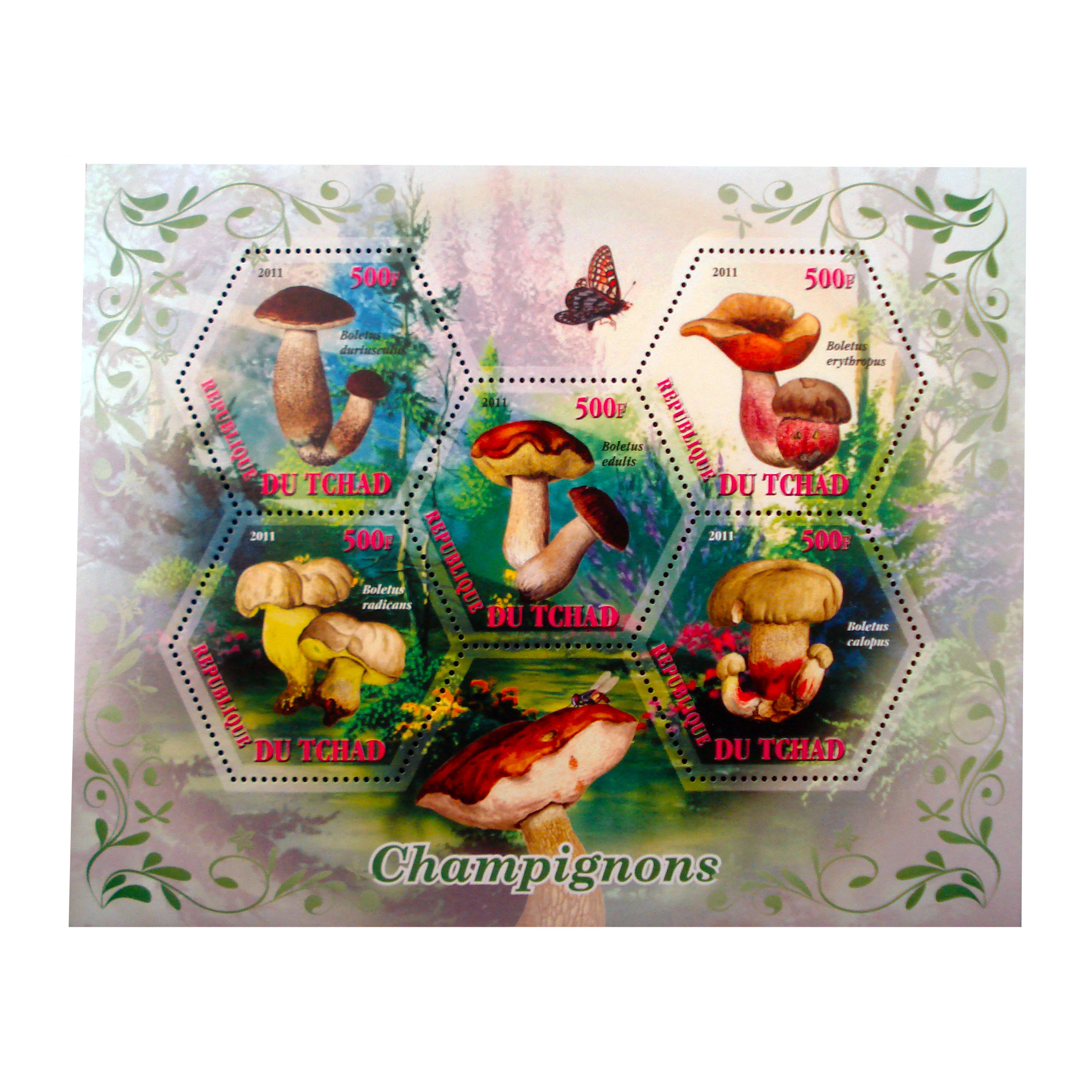 تمبر یادگاری مدل قارچ کد bc-1243 مجموعه 5 عددی