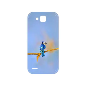 MAHOOT Cyanocitta cristata Cover Sticker for Honor 3X G750