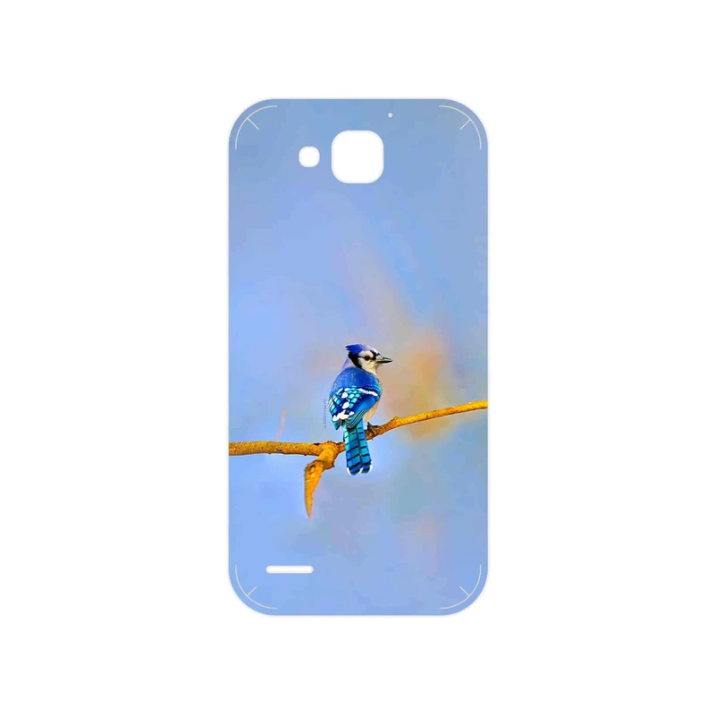 برچسب پوششی ماهوت مدل Cyanocitta cristata مناسب برای گوشی موبایل آنر 3X G750