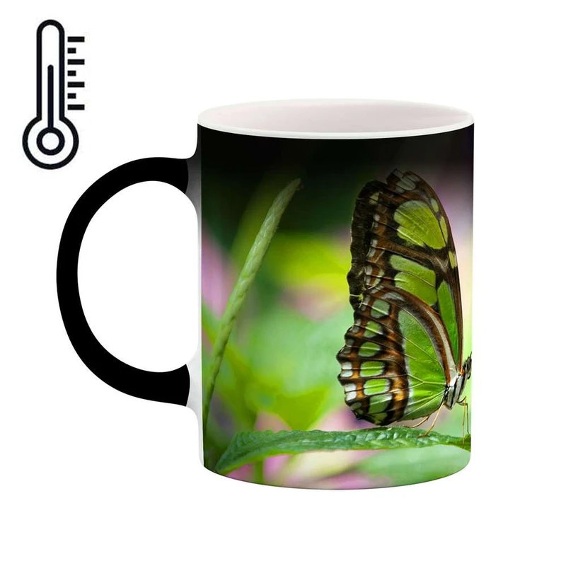 ماگ حرارتی کاکتی مدل پروانه کد mgh12088