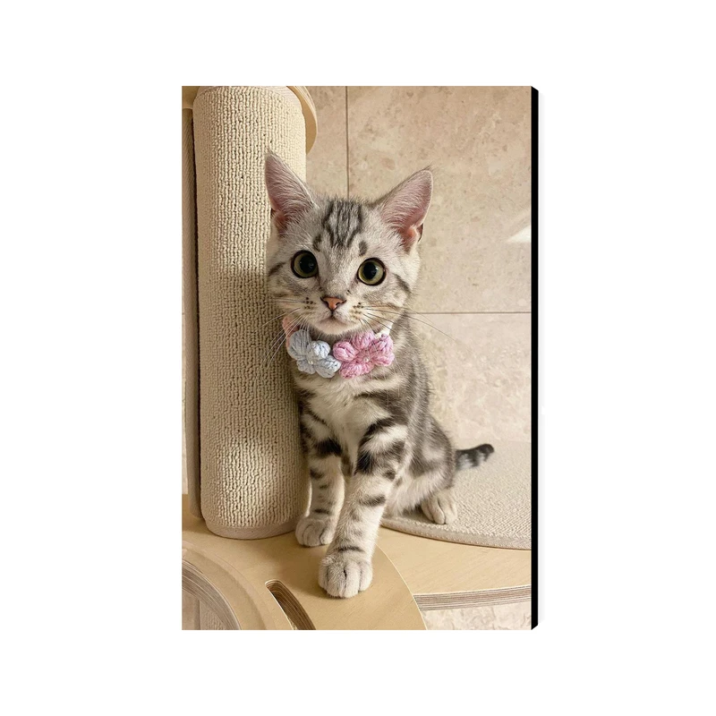 تابلو شاسی عرش مدل فانتزی گربه کد As3108