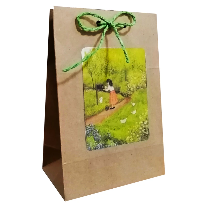 پاکت هدیه مدل نوروز و سال نو مجموعه 10 عددی