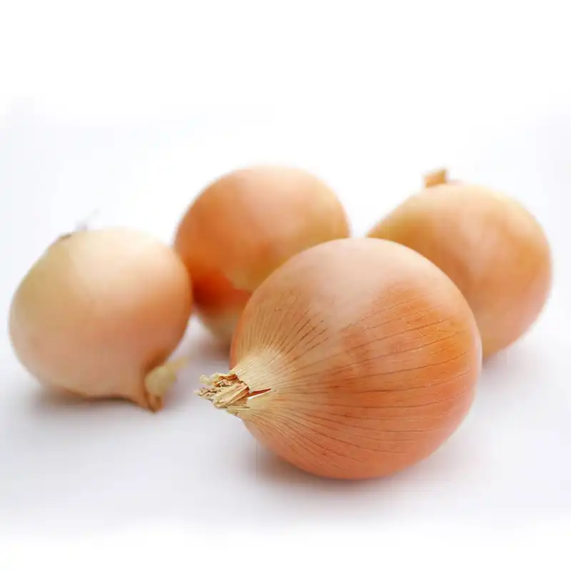 بذر پیاز زرد کد B26