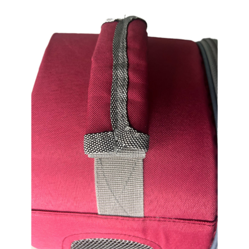 کوله پشتی حمل و نگهداری سگ مدل C200