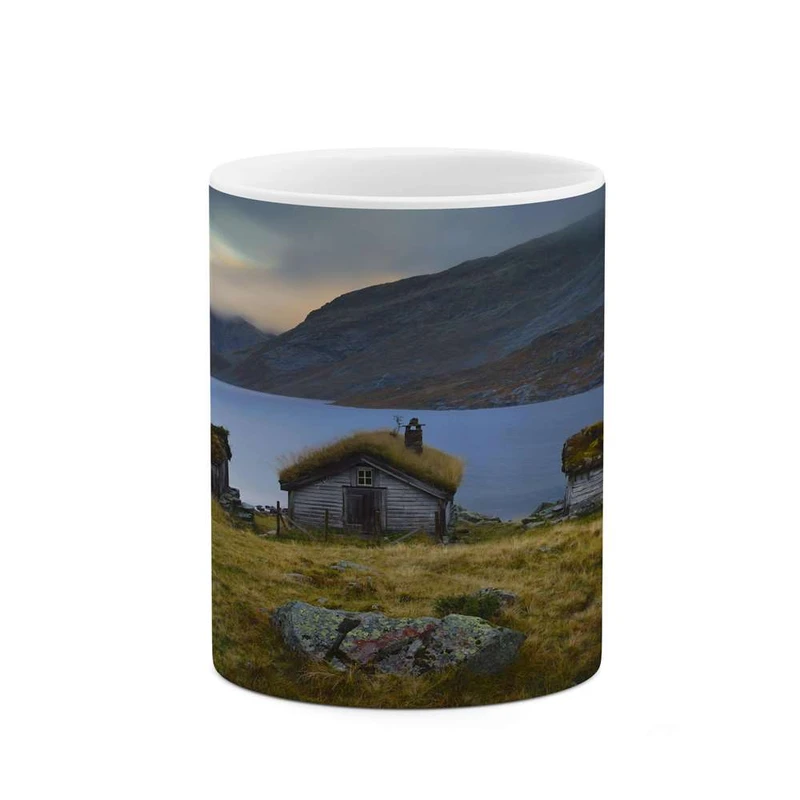 ماگ کاکتی مدل منظره کد mgh14372